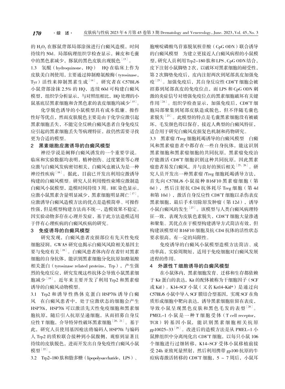 白癜风动物模型研究进展.pdf_第2页