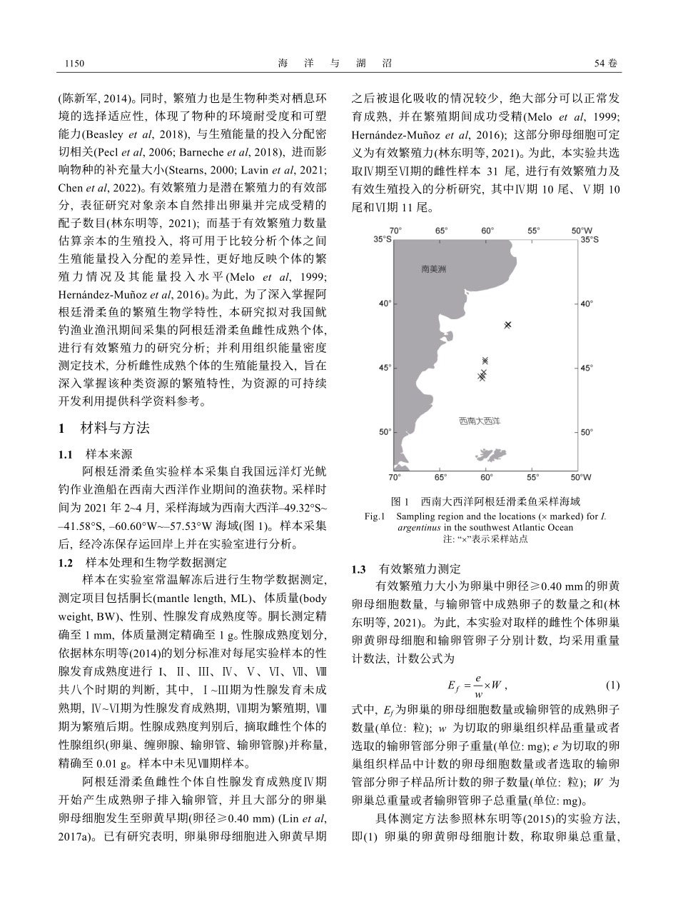 阿根廷滑柔鱼%28Illex argentinus%29雌性成熟个体的有效繁殖力及有效生殖投入.pdf_第2页
