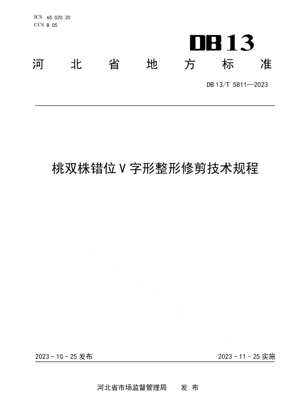 DB13T 5811-2023桃双株错位 V 字形整形修剪技术规程.pdf_第1页