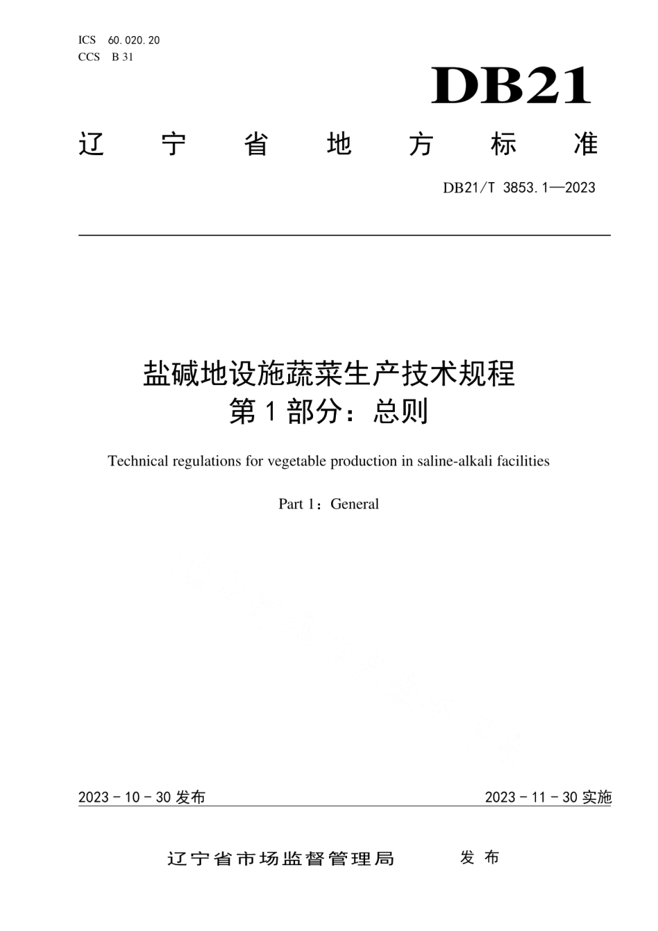 DB21T 3853.1-2023盐碱地设施蔬菜生产技术规程 第1部分：总则.pdf_第1页