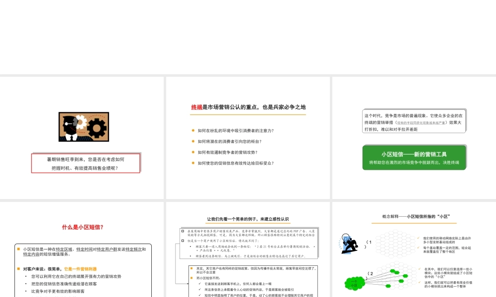 企业终端市场营销解决方案.ppt