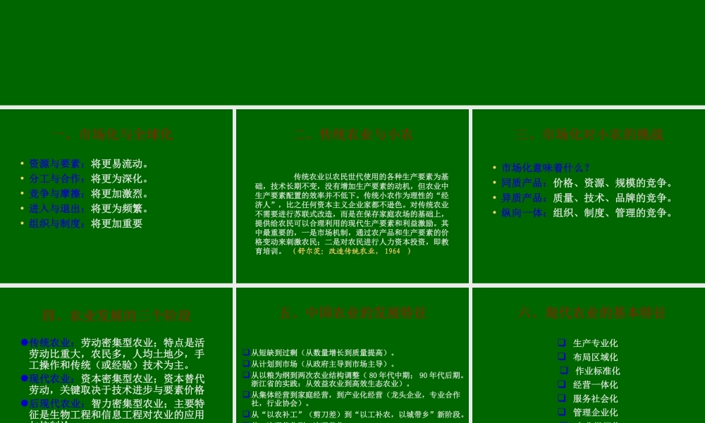 小农与市场化.ppt