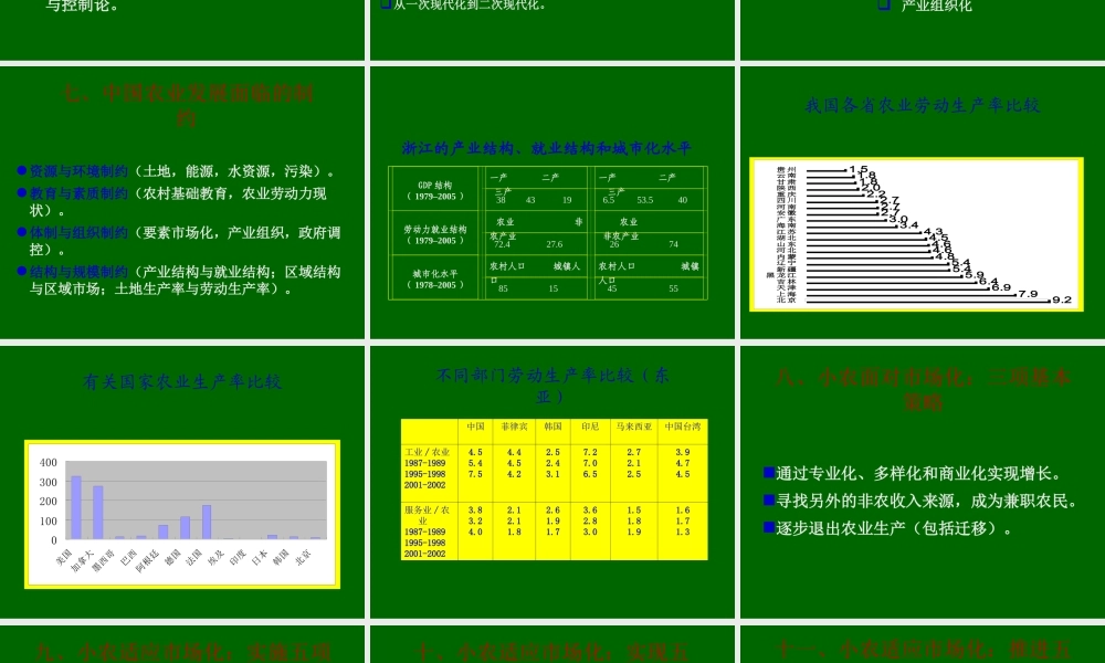 小农与市场化.ppt