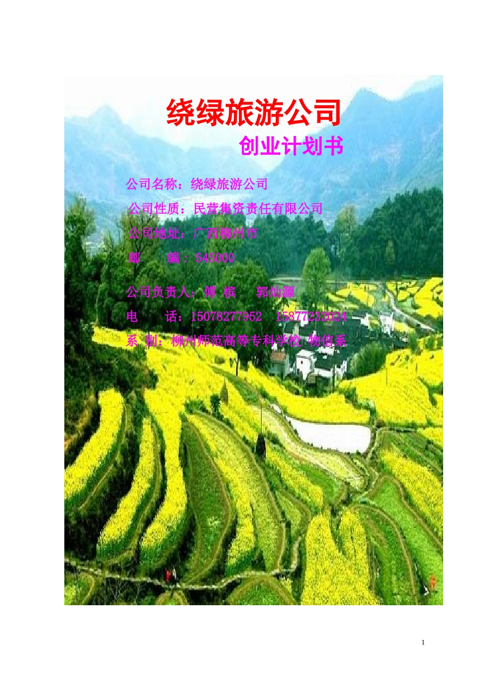 8绕绿旅游公司创业计划书.doc_第1页