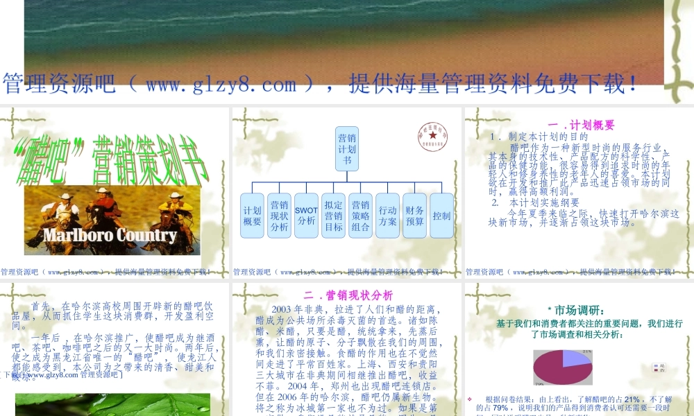 醋吧营销策划书.ppt