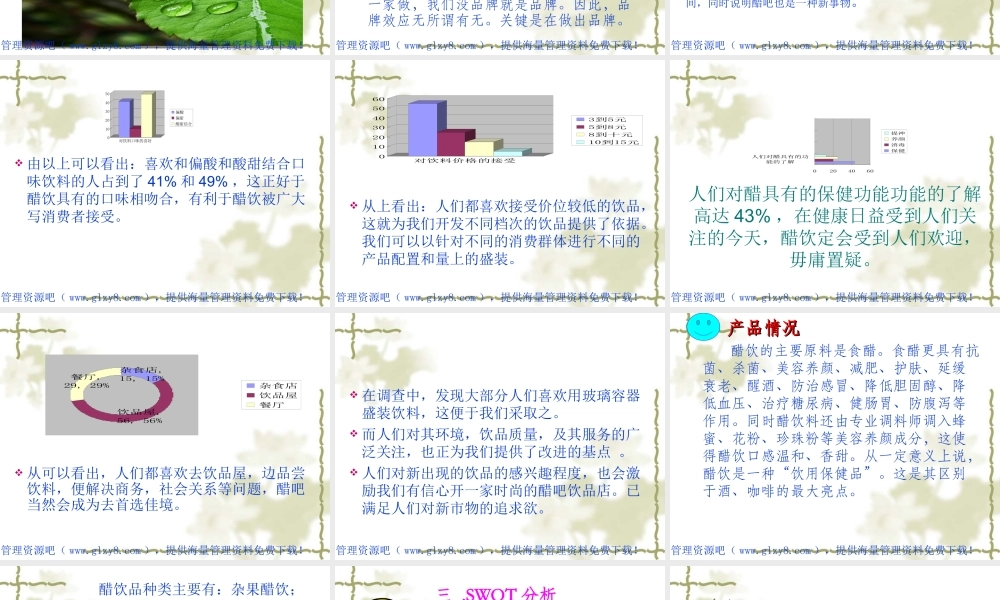 醋吧营销策划书.ppt