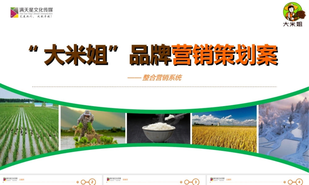 大米姐品牌营销策划案.ppt