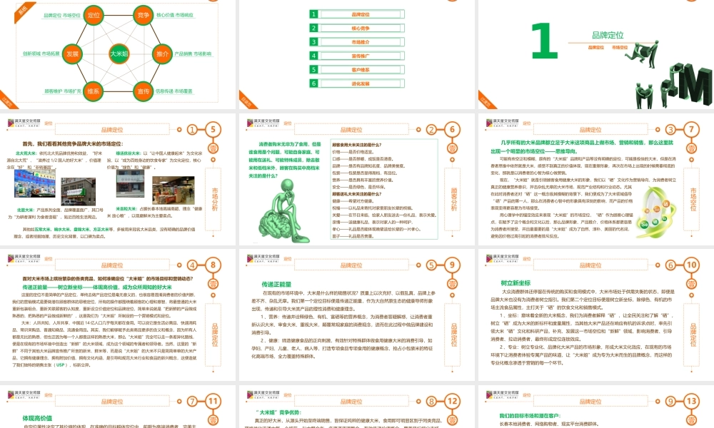 大米姐品牌营销策划案.ppt