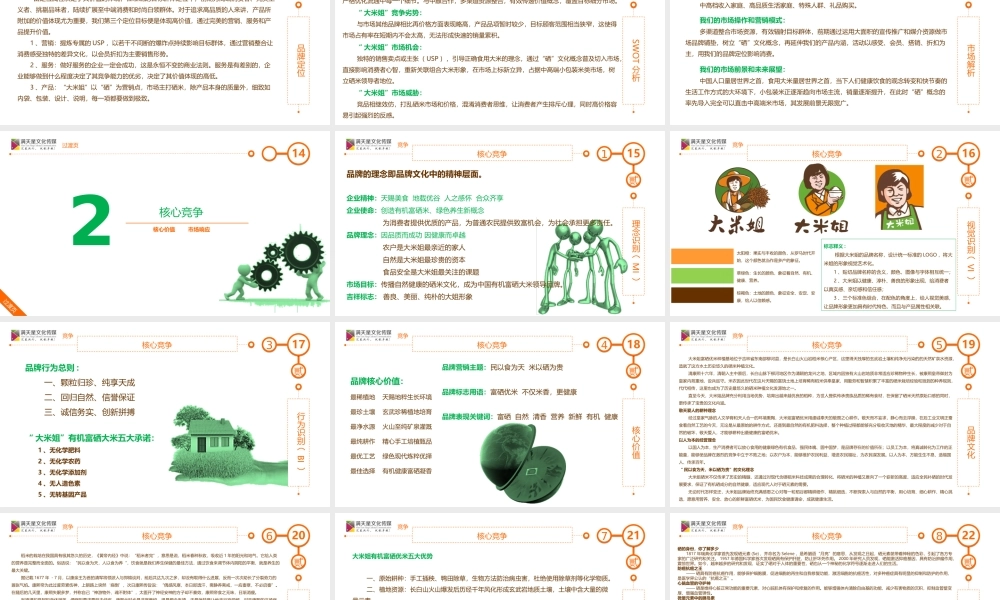 大米姐品牌营销策划案.ppt