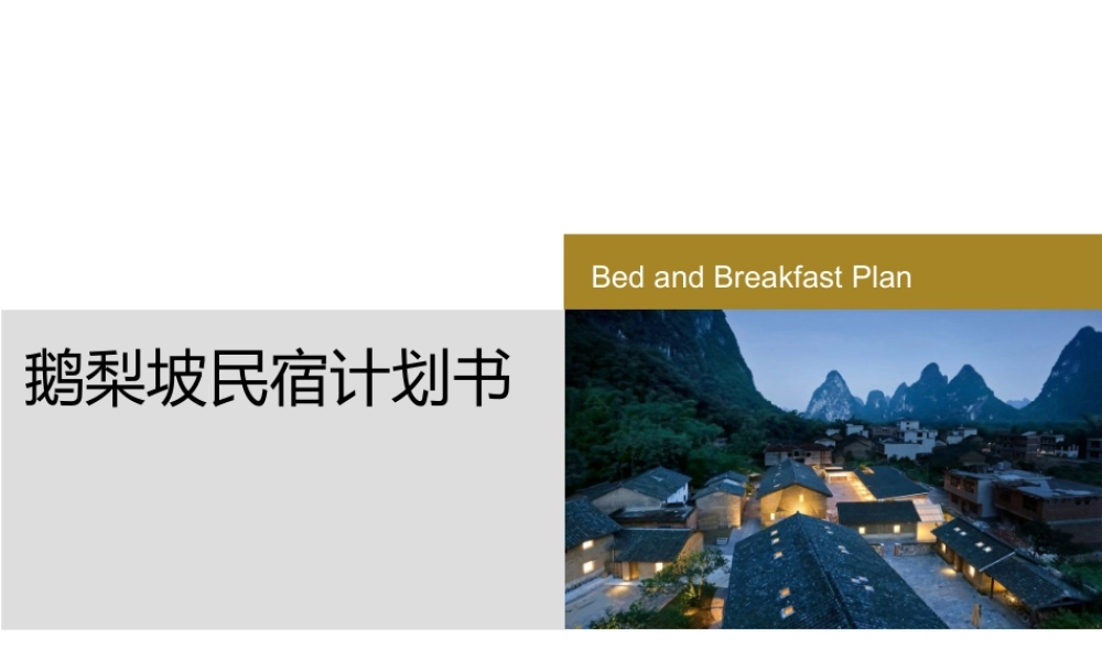 鹅梨民宿计划书.ppt