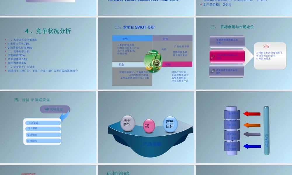 花河啤酒广告策划书.ppt