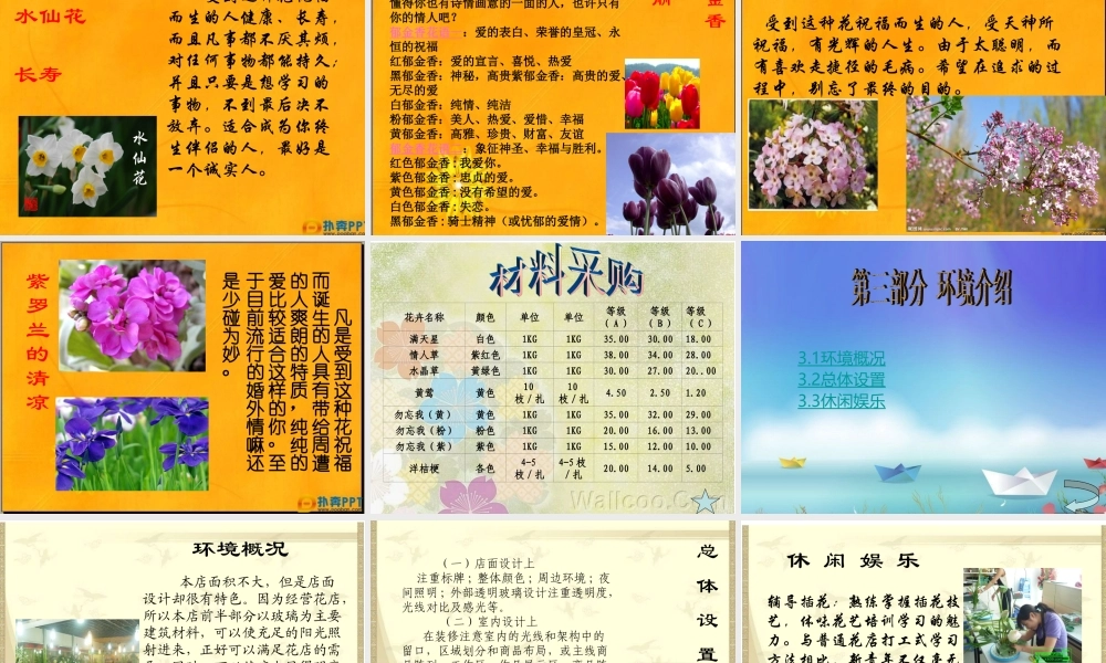 花店的创业计划大赛创业计划书.ppt