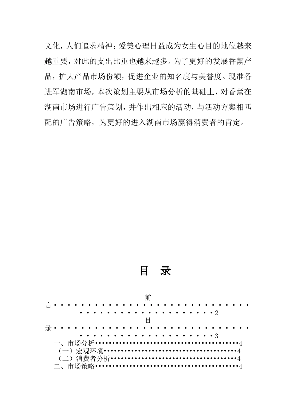 兰若香薰广告策划方案.doc_第2页