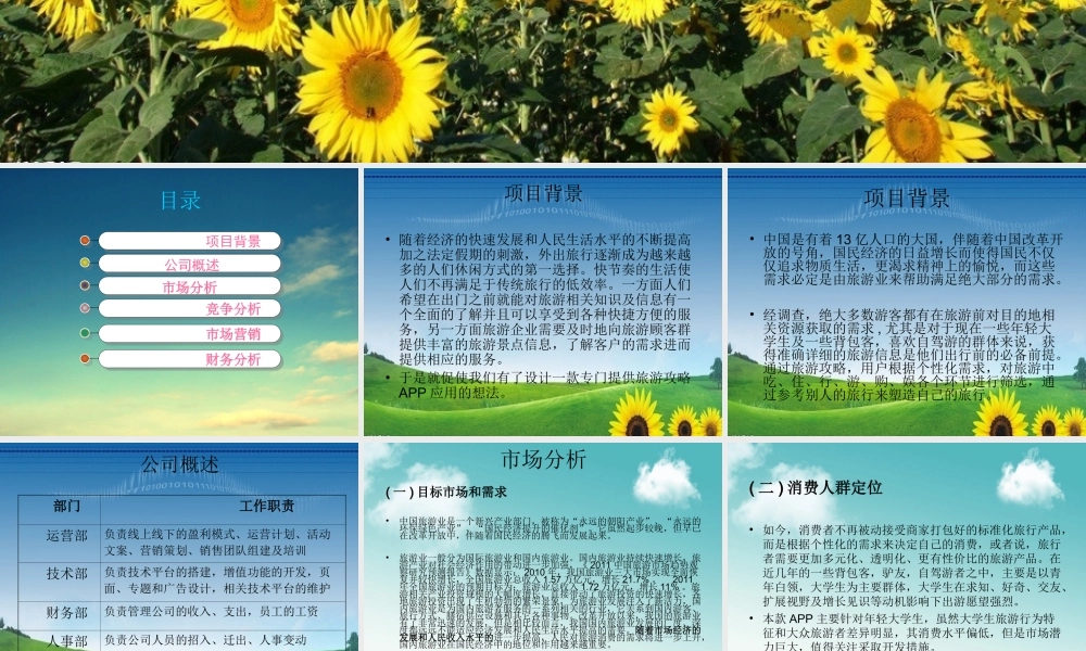 旅游攻略APP策划书.ppt