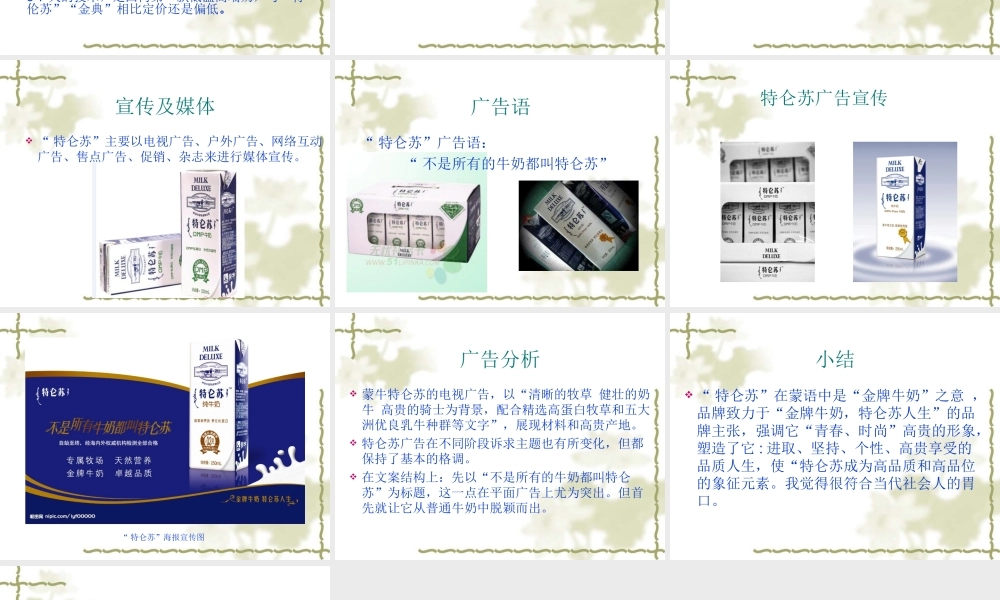 蒙牛特仑苏广告策划.ppt