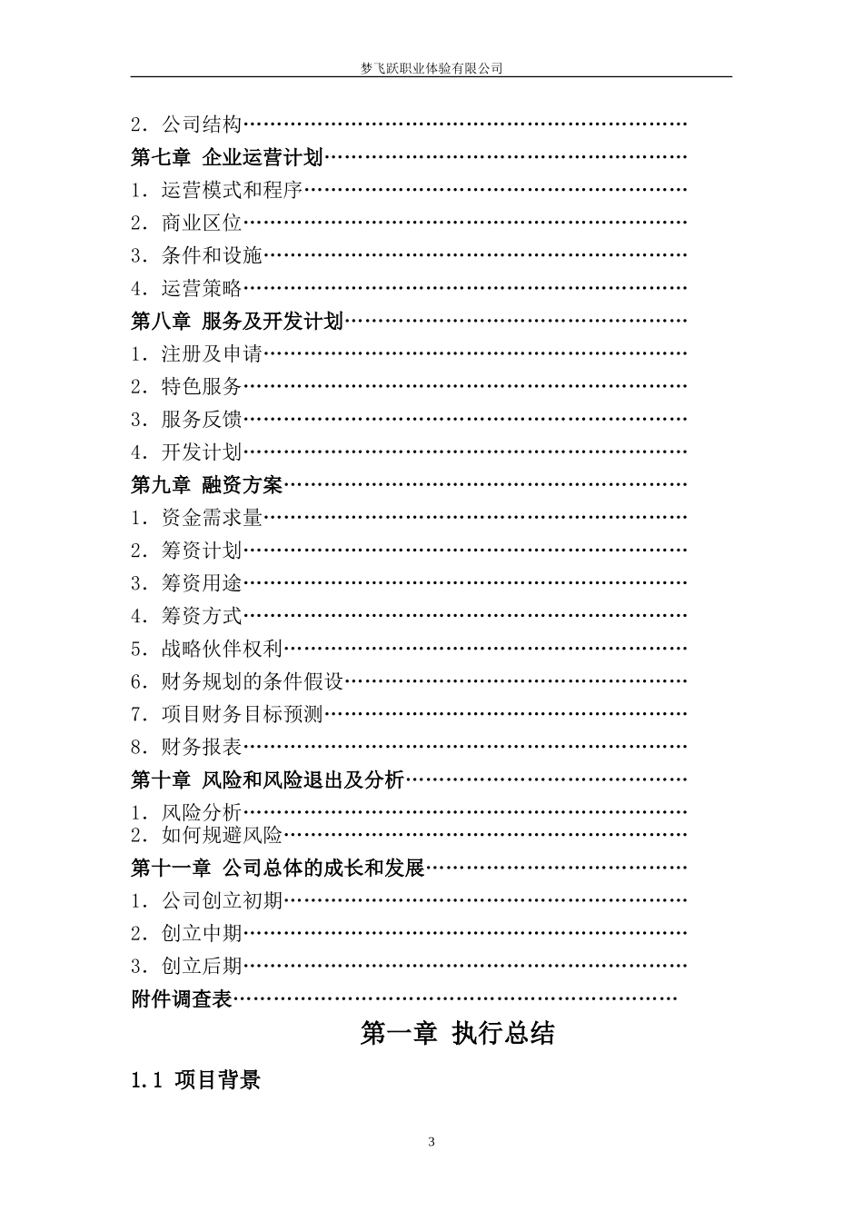 梦飞跃创业团队创业计划书.doc_第3页