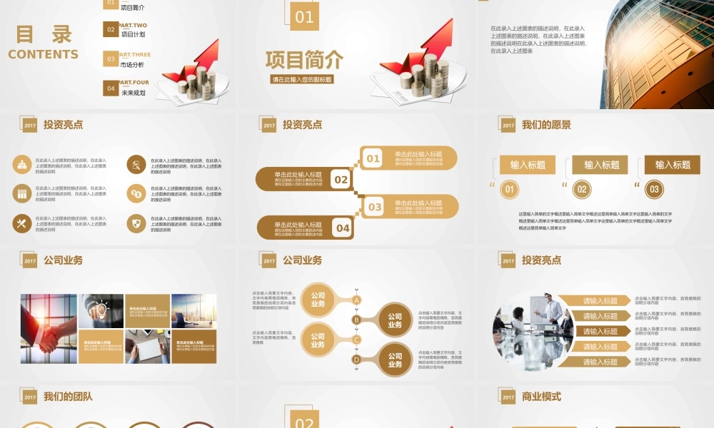 【商业计划书】 (30).pptx