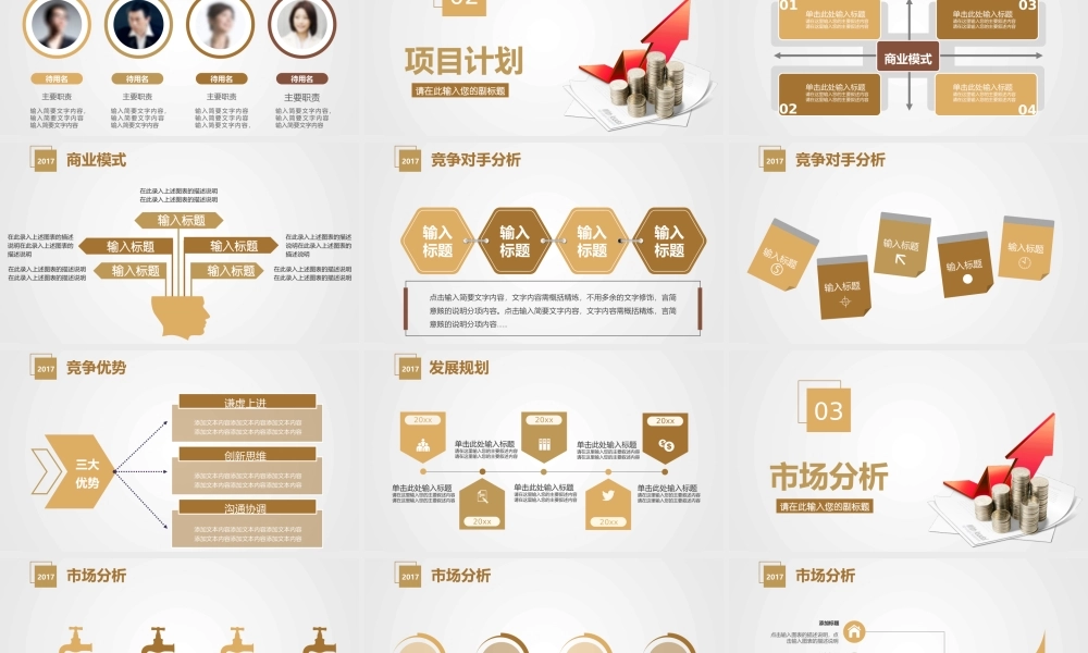 【商业计划书】 (30).pptx