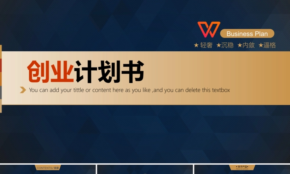 【商业计划书】 (50).pptx