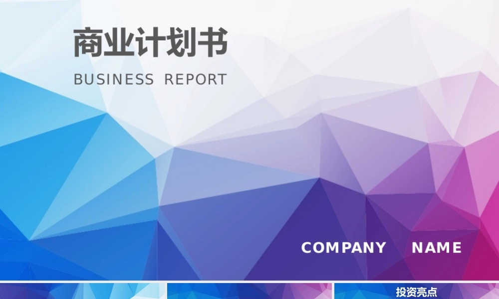 【商业计划书】 (60).pptx