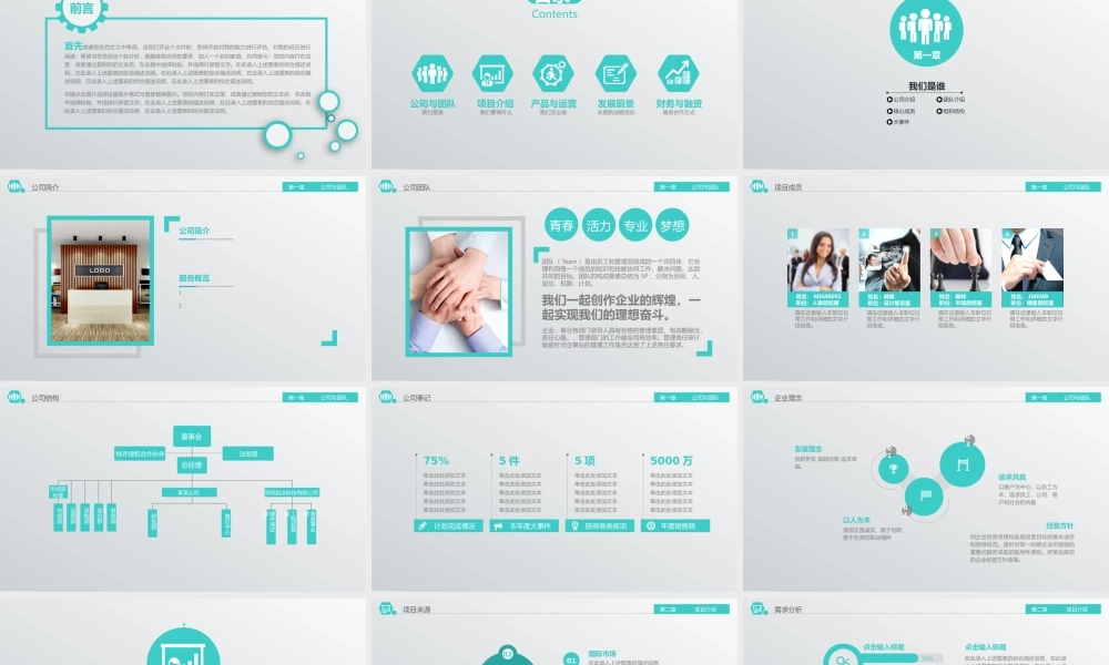 【商业计划书】 (46).pptx