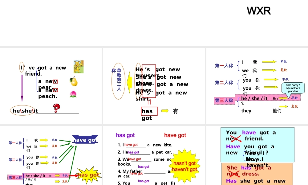 Module 6 Unit 2 He’s got a new shirtm.ppt