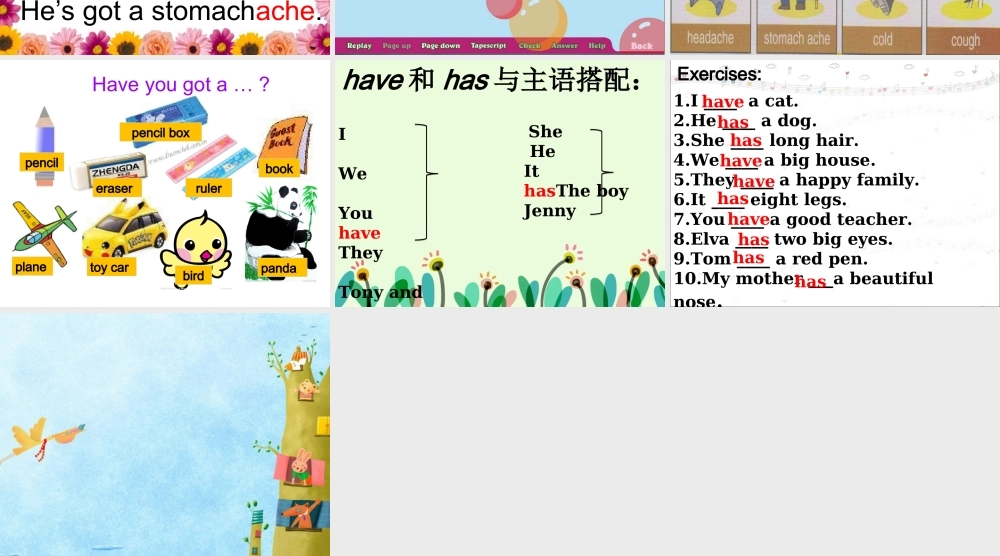 Module 7《Unit 2 She’s got a cold》ppt课件4.ppt