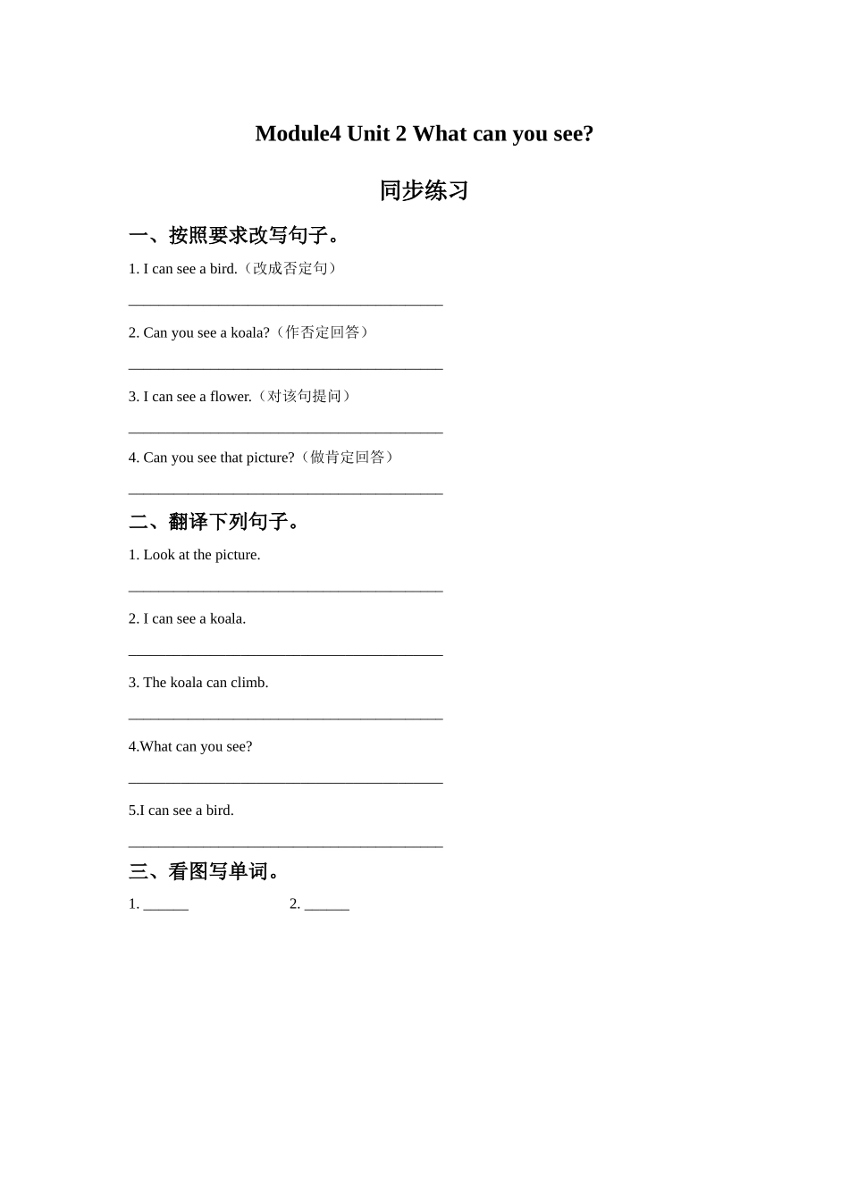 Module4 Unit 2 What can you see.同步练习3.doc_第1页