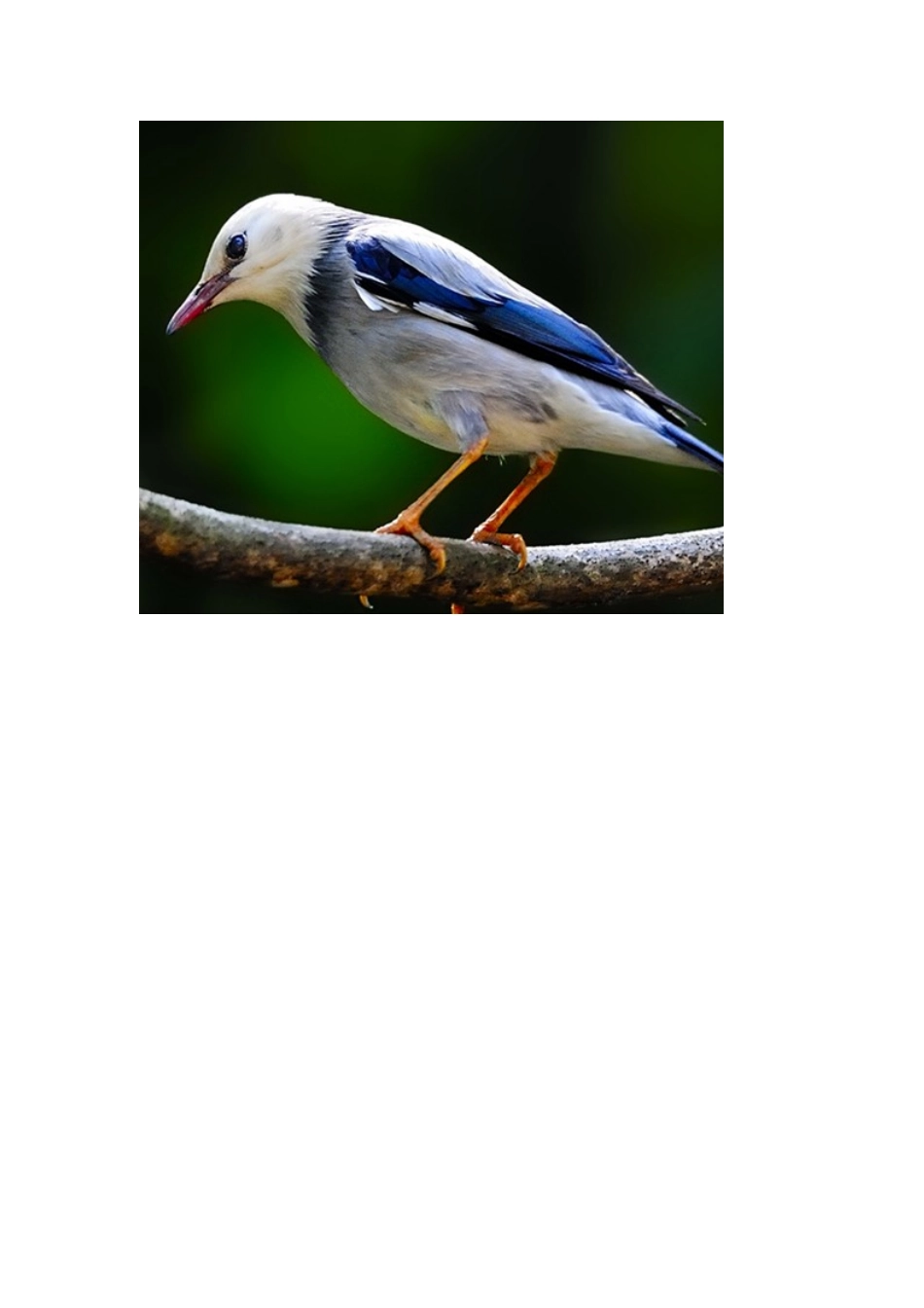 Module4 Unit 2 What can you see.同步练习3.doc_第2页