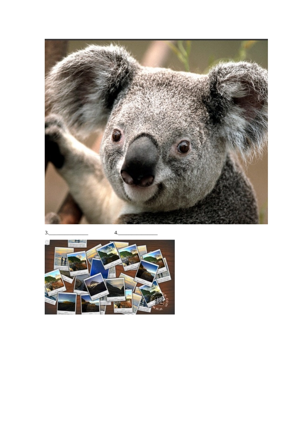 Module4 Unit 2 What can you see.同步练习3.doc_第3页