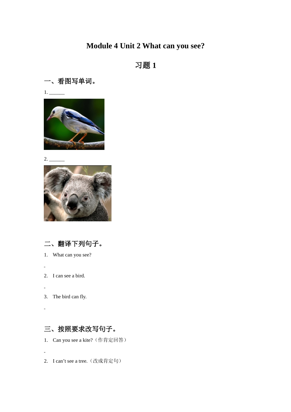 Module 4 Unit 2 What can you see 习题 1.doc_第1页