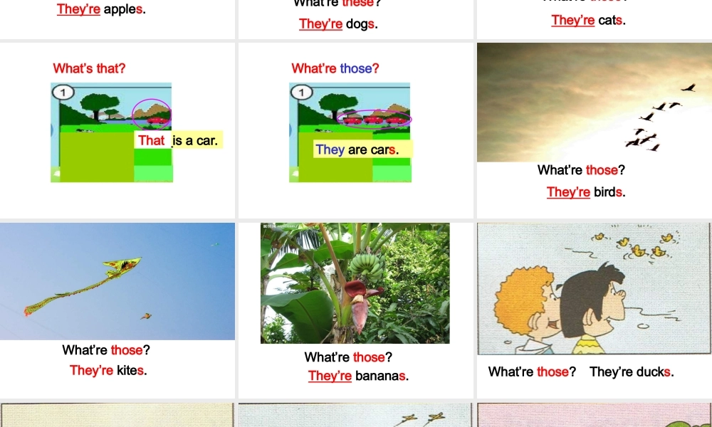 Module 3 Unit 1 These ducks are very naughty. (3).ppt