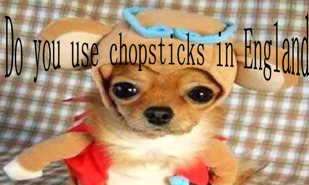 Module 1《Unit 1 Do you use chopsticks in England》 (3).ppt