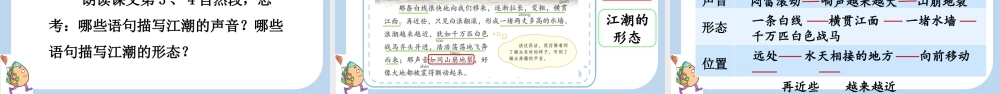 1 观潮【新课标版】.pptx