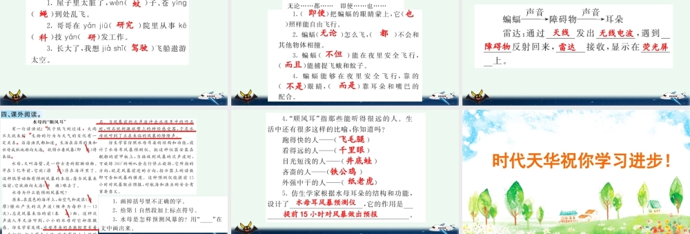 6 夜间飞行的秘密 课课练.pptx