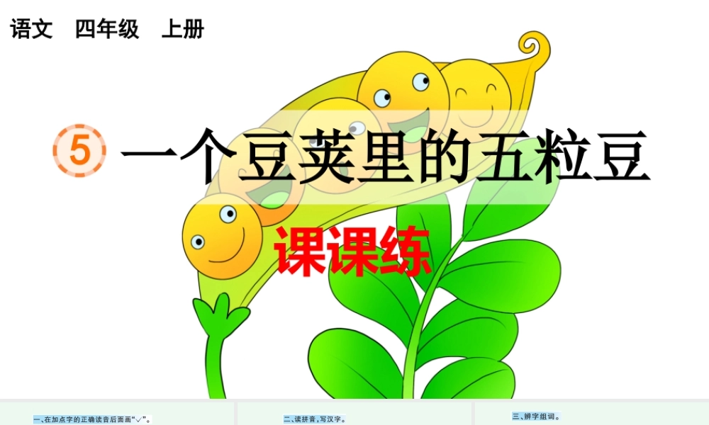 5 一个豆荚里的五粒豆 课课练.pptx