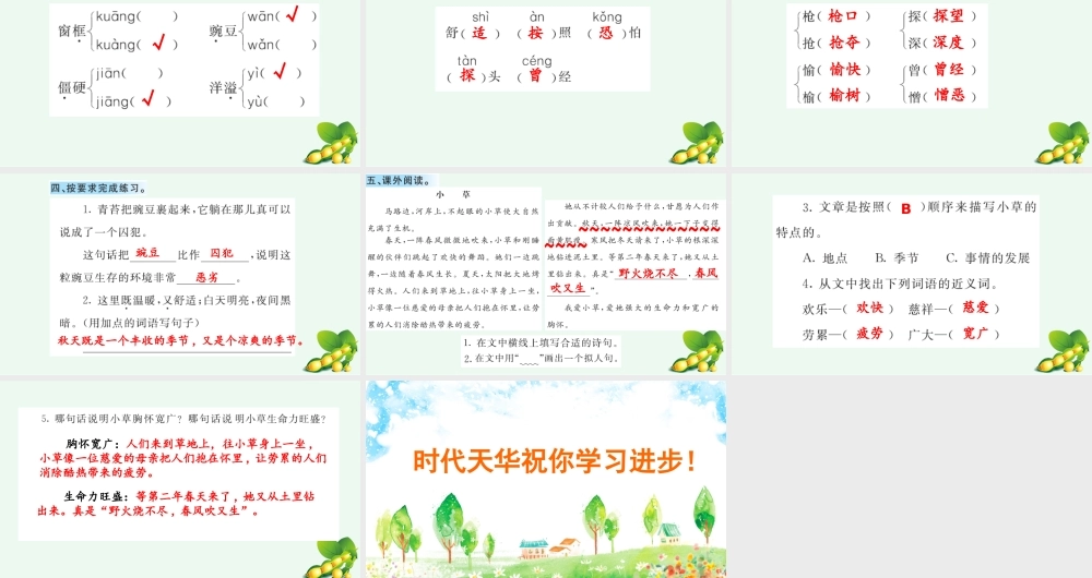 5 一个豆荚里的五粒豆 课课练.pptx