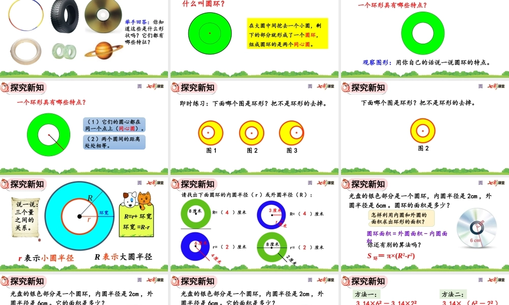 5.3.2 圆环的面积.pptx