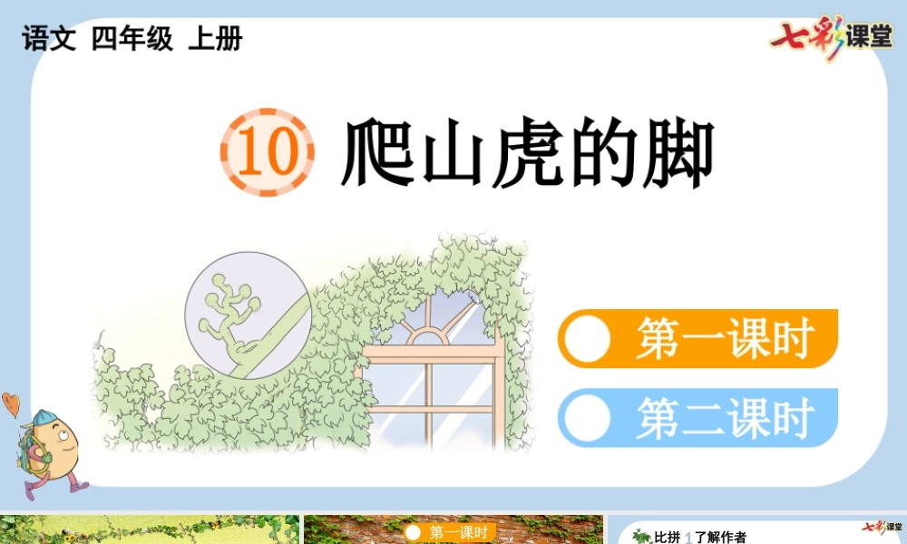 10 爬山虎的脚【新课标版】.pptx