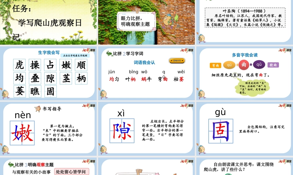 10 爬山虎的脚【新课标版】.pptx