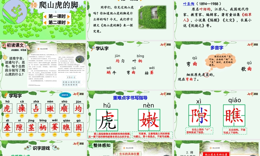 10 爬山虎的脚【优质版】.pptx