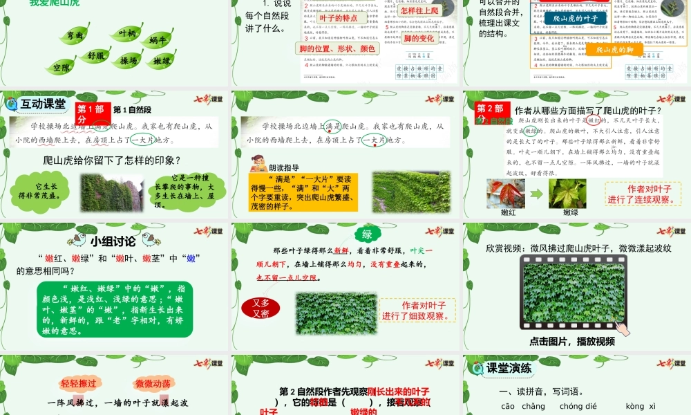 10 爬山虎的脚【优质版】.pptx