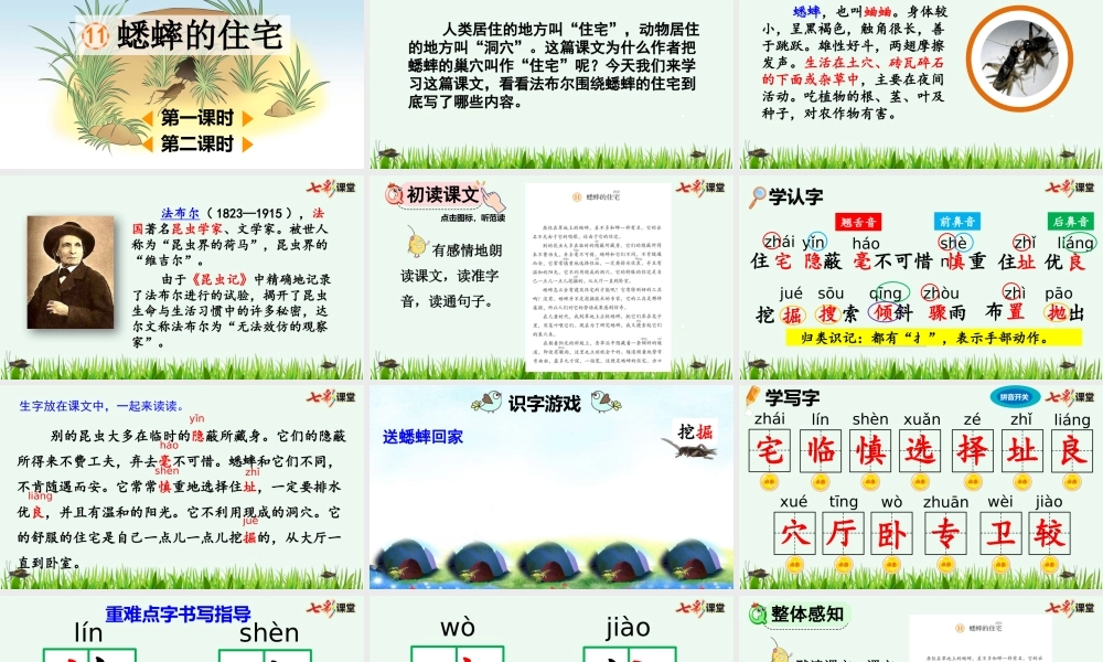 11 蟋蟀的住宅【优质版】.pptx