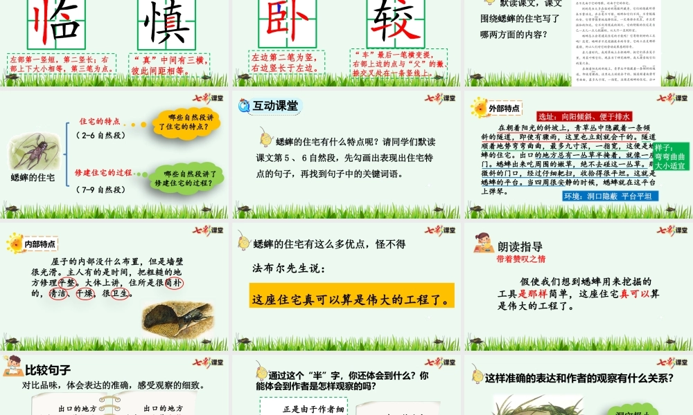 11 蟋蟀的住宅【优质版】.pptx