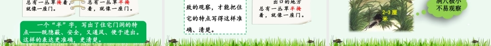 11 蟋蟀的住宅【优质版】.pptx