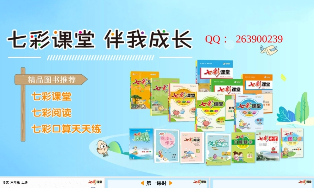 13 桥【优质版】.pptx