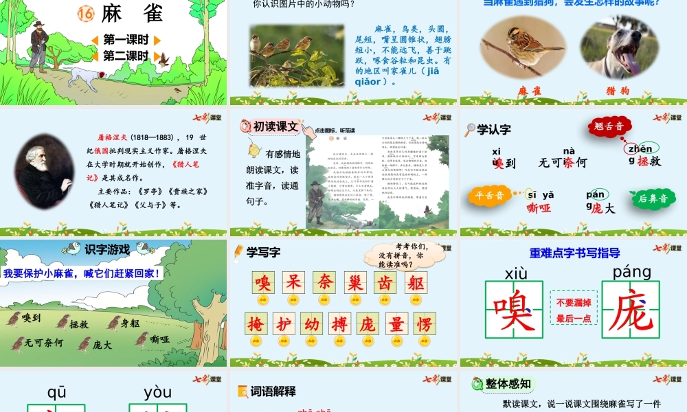 16 麻雀【优质版】.pptx