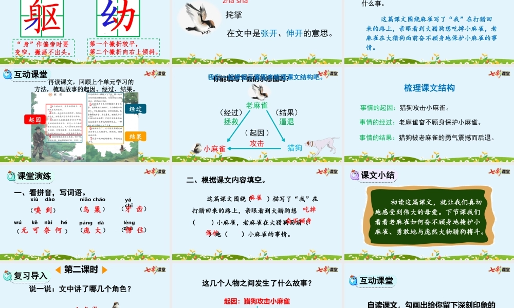 16 麻雀【优质版】.pptx