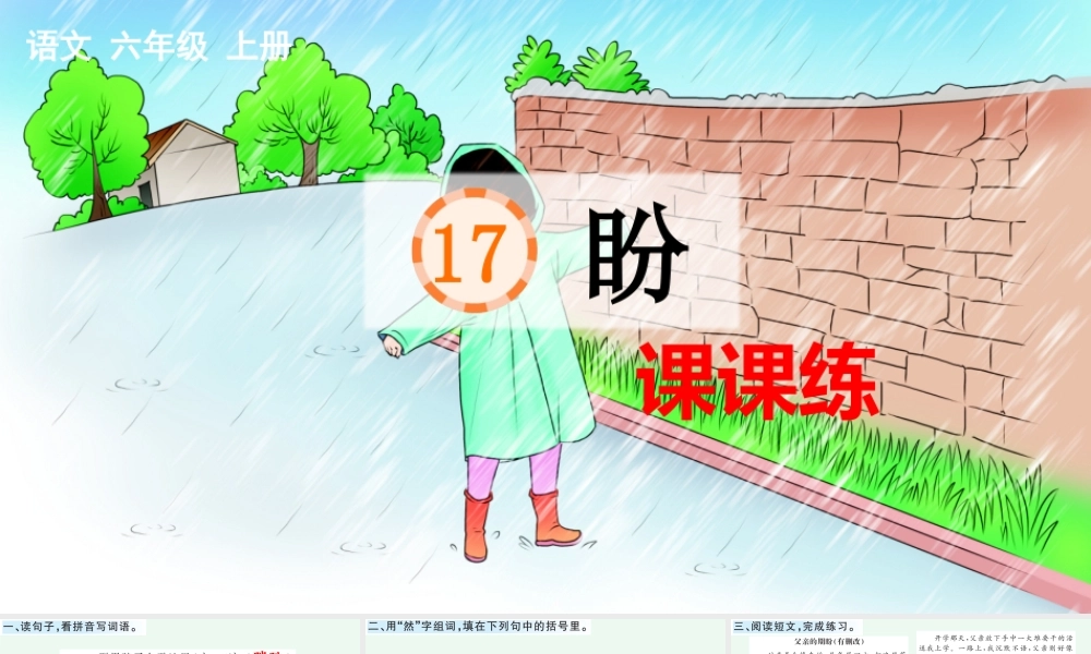 17 盼 课课练.pptx