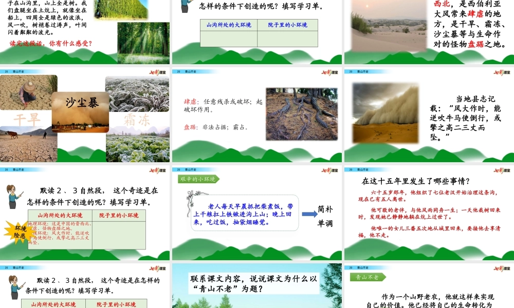 20 青山不老【名师版】.pptx
